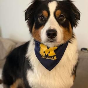 Meet your Posher, Bryan